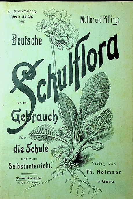 Muller u. Pilling. Deutsche Schulflora / hrsg. von Muller u Pilling